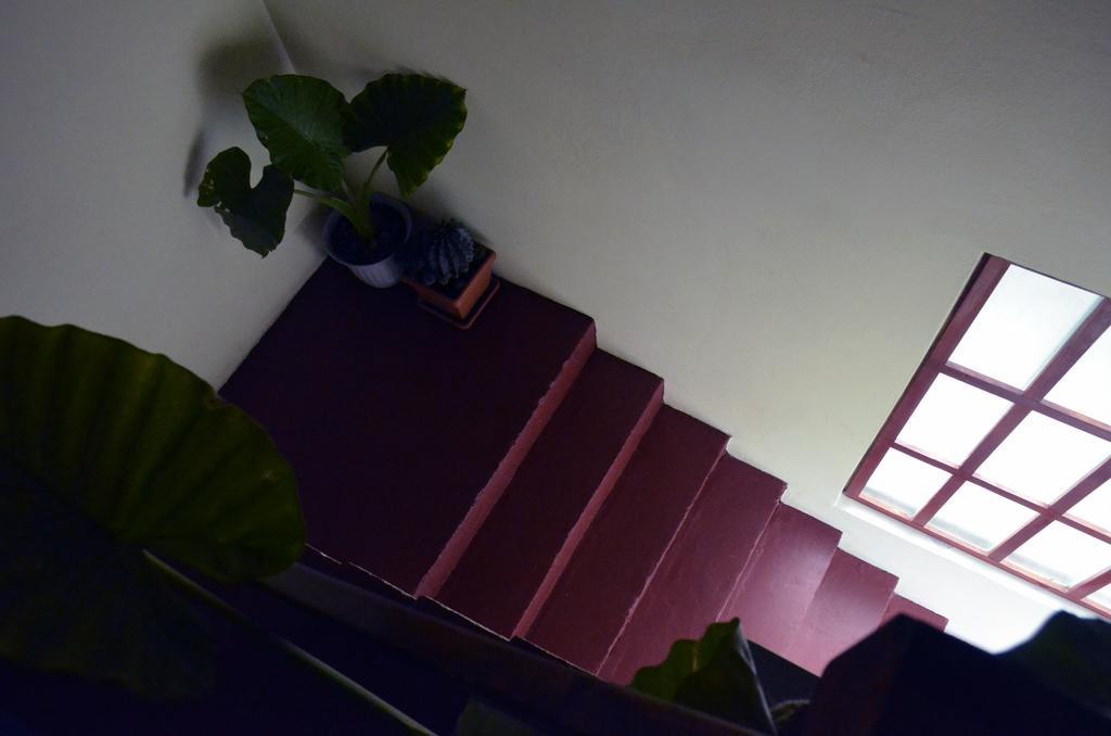 Apartments Nera ซาเกร็บ ภายนอก รูปภาพ